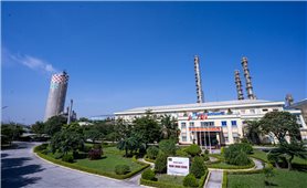 Công ty TNHH MTV Đạm Ninh Bình
