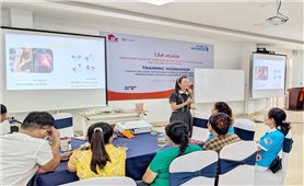 Thúc đẩy mô hình tích hợp hỗ trợ nạn nhân bạo lực giới tại Bắc Trung Bộ