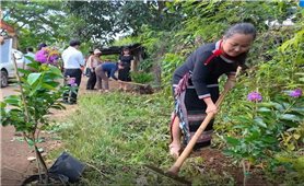 Chống ô nhiễm nhựa không quên trồng cây, giữ rừng