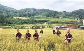 Quảng Ninh có thêm 4 Di sản văn hóa phi vật thể quốc gia