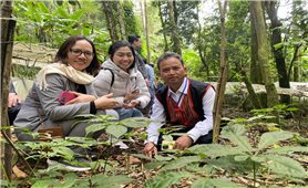 Đưa Tri thức dân gian về Sâm Ngọc Linh huyện Tu Mơ Rông và huyện Đăk Glei, tỉnh Kon Tum vào Danh mục Di sản văn hóa phi vật thể quốc gia