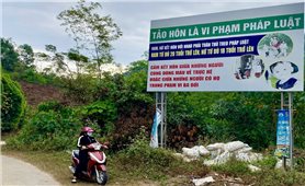 Văn Lãng (Lạng Sơn): Đẩy mạnh công tác tuyên truyền phòng ngừa tảo hôn và hôn nhân cận huyết thống
