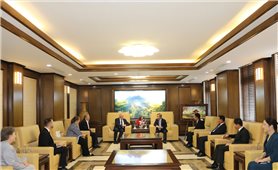 Bí thư Tỉnh ủy Quảng Ninh tiếp xã giao Chủ tịch Đảng Xã hội Hungary