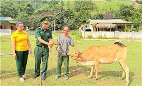 Nghệ An: Bàn giao trâu, bò giống cho hộ nghèo vùng cao