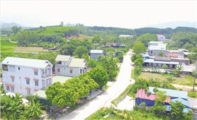 Phân cấp rõ ràng để “dọc ngang thông suốt”