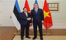 Thủ tướng Phạm Minh Chính hội đàm với Thủ tướng Estonia