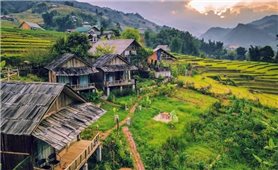 Người vùng cao biến 