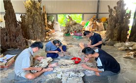Khánh Hòa: Thêm hai di sản được công nhận là Di sản văn hóa phi vật thể quốc gia