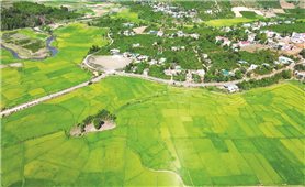 Đẩy nhanh tiến độ thực hiện Chương trình MTQG 1719 trong thời điểm sáp nhập đơn vị hành chính