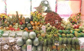 Bắc Giang: Xây dựng nhiều chính sách hỗ trợ để phát triển sản phẩm OCOP bền vững
