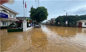Điện lực Mường Khương ứng phó mưa lũ, bảo đảm an toàn lưới điện