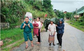 “Tản cư” chống bão
