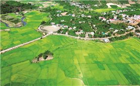 Những người 