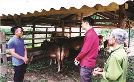 Bám bản làng, nuôi chí lớn