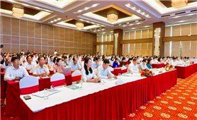 TP. Cần Thơ: 2.153 doanh nghiệp đã được cấp phép thành lập mới