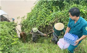 Giải cứu thành công đàn bò mắc kẹt giữa bãi bồi sông Lam
