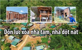 Dồn lực xóa nhà tạm, nhà dột nát: Không gián đoạn nhiệm vụ sau sáp nhập (Bài 1)
