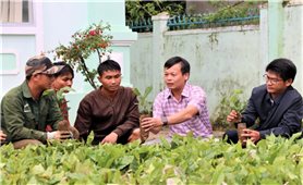 Quảng Ngãi: Xã vùng cao Đại hội, tiếp nhận hơn 130.000 ngàn cây giống tặng đồng bào Xơ Đăng nghèo
