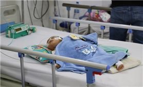 Nhiều người nhập viện nguy kịch vì hiểu sai về sốt xuất huyết