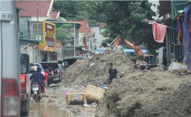 Lấy sức người vượt sức thiên tai
