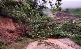 Sơn La phải di dời khẩn cấp 35 hộ dân dọc Sông Mã vì nước lũ