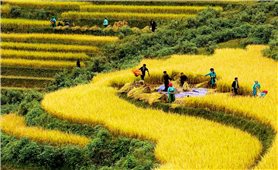 Thực hiện Chương trình MTQG 1719 giai đoạn II: Sẽ phân cấp mạnh cho chính quyền địa phương