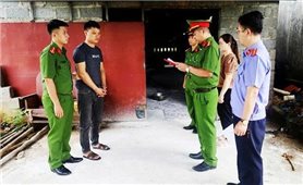 Lạng Sơn: Khởi tố 2 đối tượng mua bán hơn 2 tấn lợn nhiễm dịch tả Châu Phi