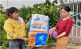 Quảng Ngãi: Nghi ngờ phân bón kém chất lượng, người dân làm đơn kiến nghị