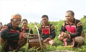 Ché - mạch nguồn của ký ức Tây Nguyên