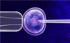 Phụ nữ độc thân có nguyện vọng sinh con sẽ được làm IVF từ 1/10
