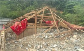 Nghệ An đề nghị hỗ trợ 6,42 tỷ đồng để dựng lại nhà cho người dân sau lũ