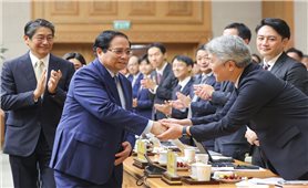 Thủ tướng: Giải quyết dứt điểm vướng mắc, phát huy hiệu quả cao nhất các dự án hợp tác với Nhật Bản