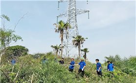 Huy động nhân lực để dự án Đường dây 500 kV Lào Cai - Vĩnh Yên về đích đúng thời gian