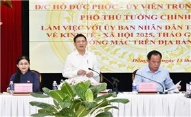 Đồng Nai cần chính sách đặc thù để tăng trưởng 2 con số