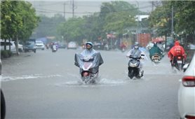 Cảnh báo áp thấp nhiệt đới gây mưa to, lốc, sét, ngập úng tại nhiều khu vực trên cả nước