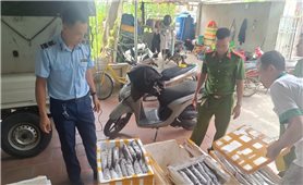 Thanh Hóa tiêu hủy hơn 1 tấn thực phẩm không rõ nguồn gốc