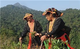 Chuyển biến trong nếp nghĩ cách làm từ Chương trình MTQG 1719