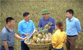 Động lực để Kinh tế tư nhân phát triển
