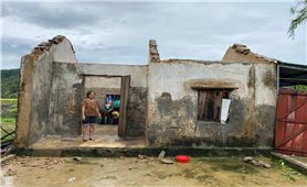 Vật lộn với thiên tai nhiều người dân làng biển ở Nghệ An mất nhà, mất luôn 