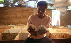 8X Đà Nẵng kiếm 200 triệu mỗi năm nhờ bén duyên “chuột khổng lồ”