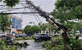 Khoảng 30% khách hàng sử dụng điện ở Nghệ An… vẫn chưa có điện