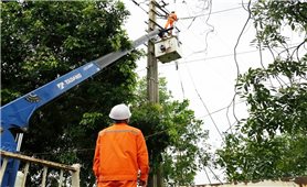 Thanh Hóa: Khẩn trương khôi phục điện sau bão số 5