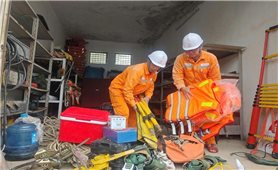 Tổng Công ty Điện lực miền Bắc chủ động ứng phó, quyết liệt khắc phục lưới điện sau bão số 5