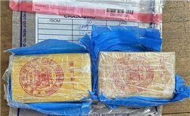Tuyên Quang đặt mục tiêu 50% xã, phường “không ma túy” vào năm 2030