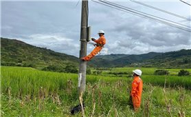 PC Quảng Ngãi chủ động bảo đảm an toàn điện mùa mưa bão tại khu vực các xã phía Tây