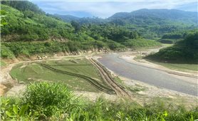 Chấn chỉnh tình trạng 