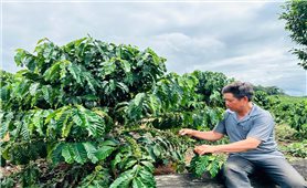 Về Căn cứ địa cách mạng Khu 10 những ngày Tết Độc lập