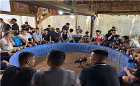 Công an Tuyên Quang phá 23 vụ án trong 1 tháng cao điểm