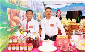 Đồng bào vùng núi làm OCOP thu bạc triệu