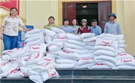 Tổ chức các điểm bán hàng lưu động bình ổn giá tiếp sức cho người dân vùng lũ